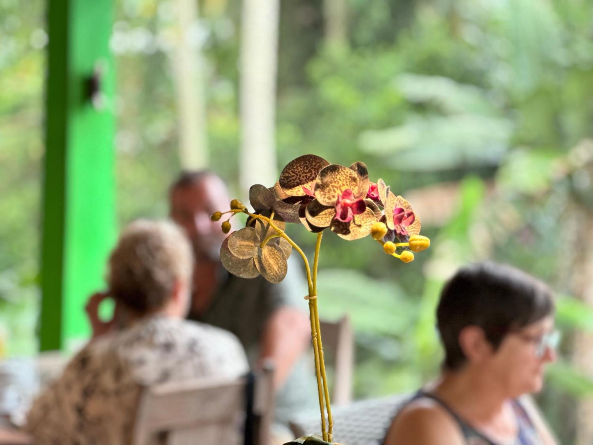 Dupa Ubud Eksteriør billede