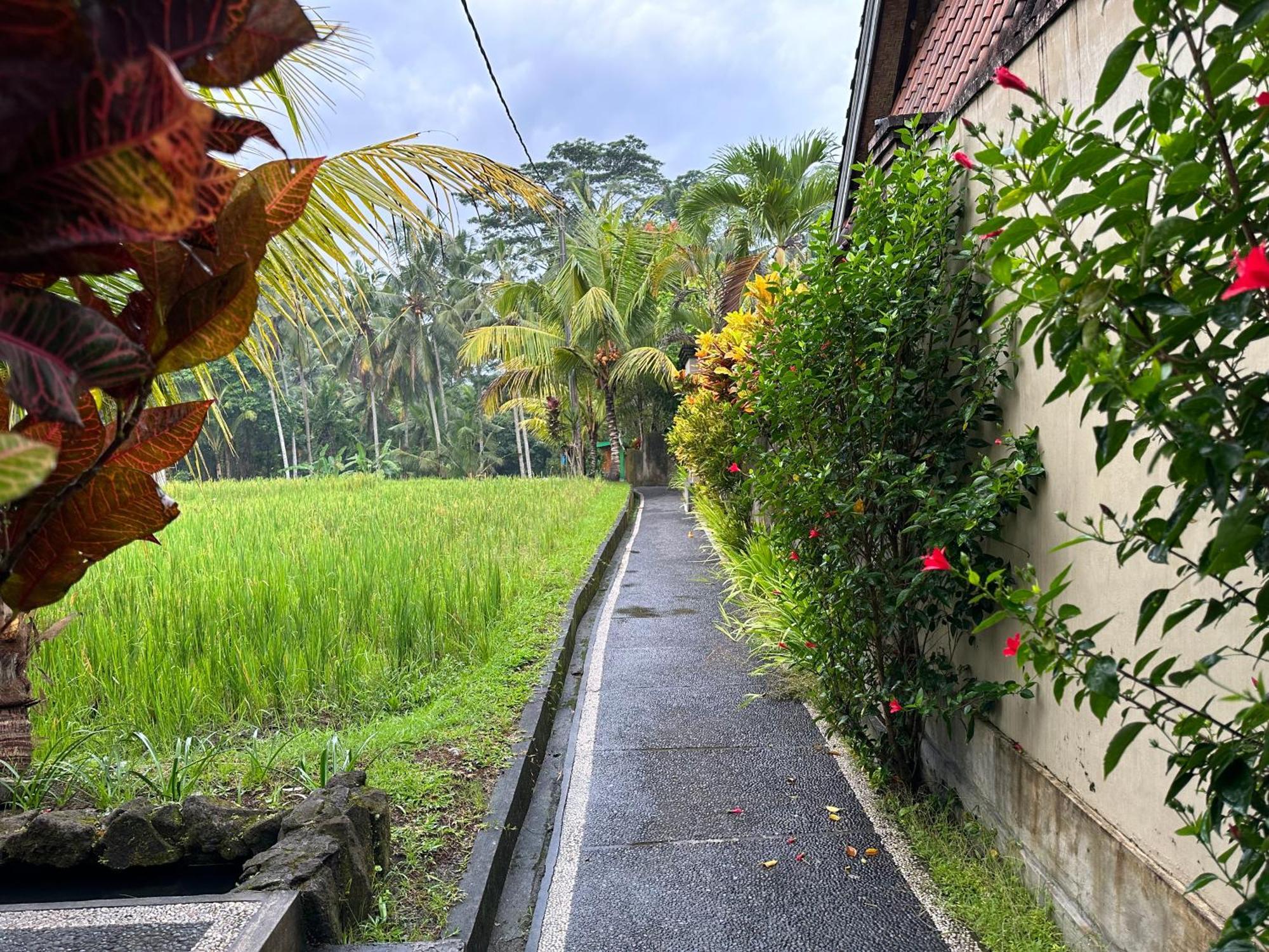 Dupa Ubud Eksteriør billede