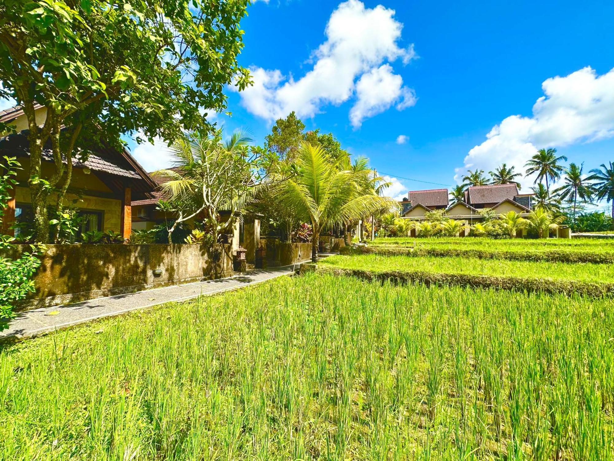 Dupa Ubud Eksteriør billede